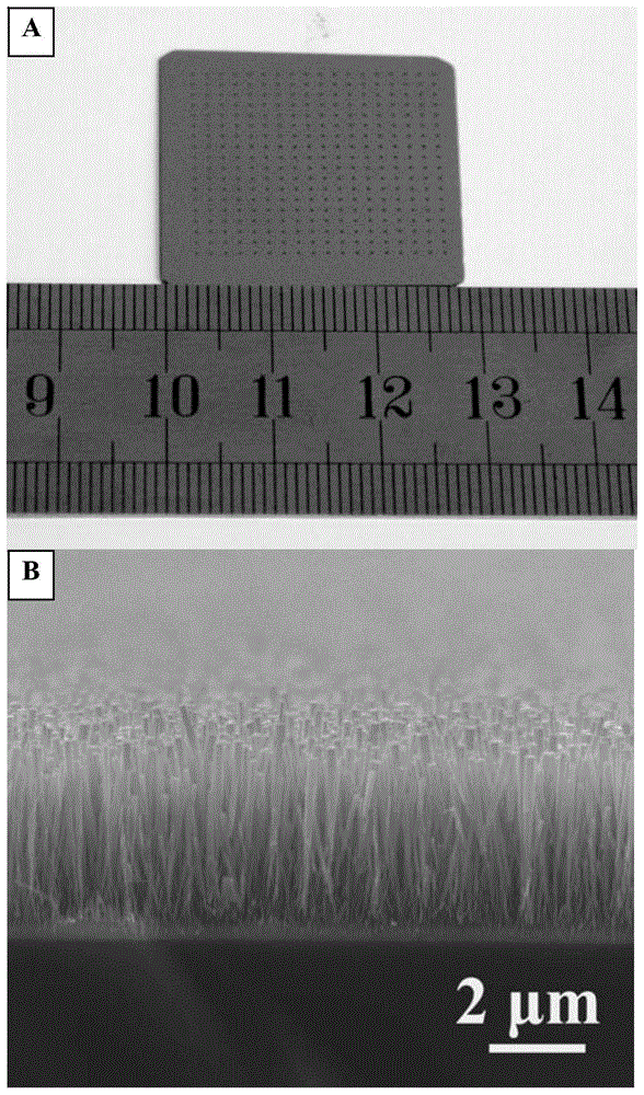 An In-Situ Plasma Glow Treatment Method for Improving the Field Emission Properties of Tungsten Oxide Nanomaterial Thin Films