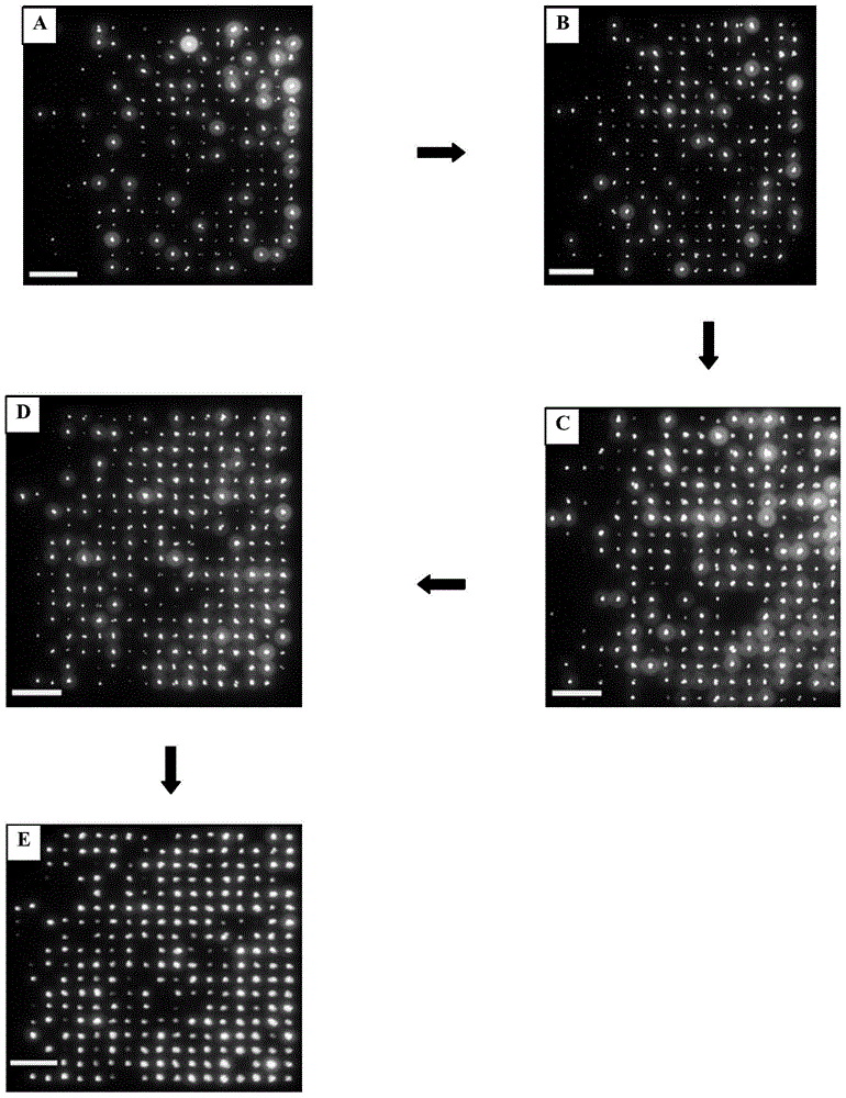 An In-Situ Plasma Glow Treatment Method for Improving the Field Emission Properties of Tungsten Oxide Nanomaterial Thin Films