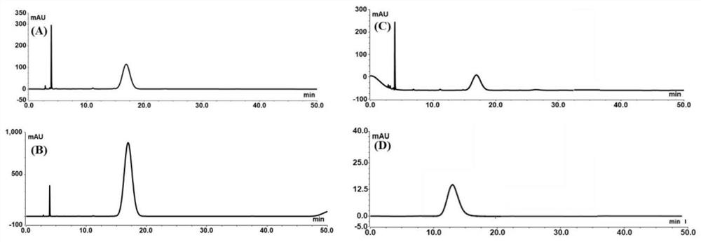 Application of Talinum paniculatum (Jacq.) Gaertn. polysaccharide on aspect of accelerating dissolving of baicalin in water, and method