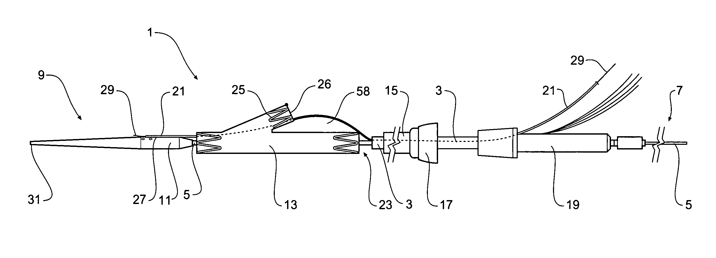 Introducer for an iliac side branch device