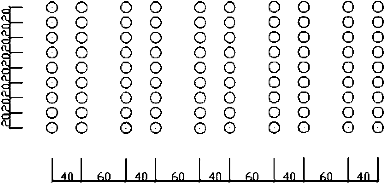 High-quality apple dwarf interstock seedling propagation method