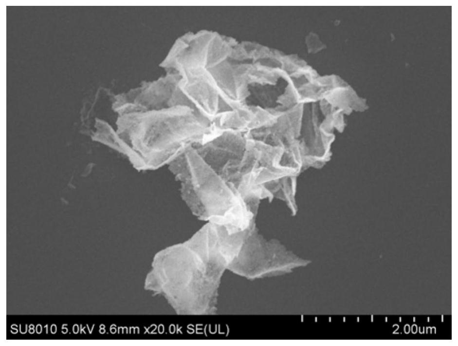 Fluoride-free self-cleaning coating as well as preparation method and application thereof