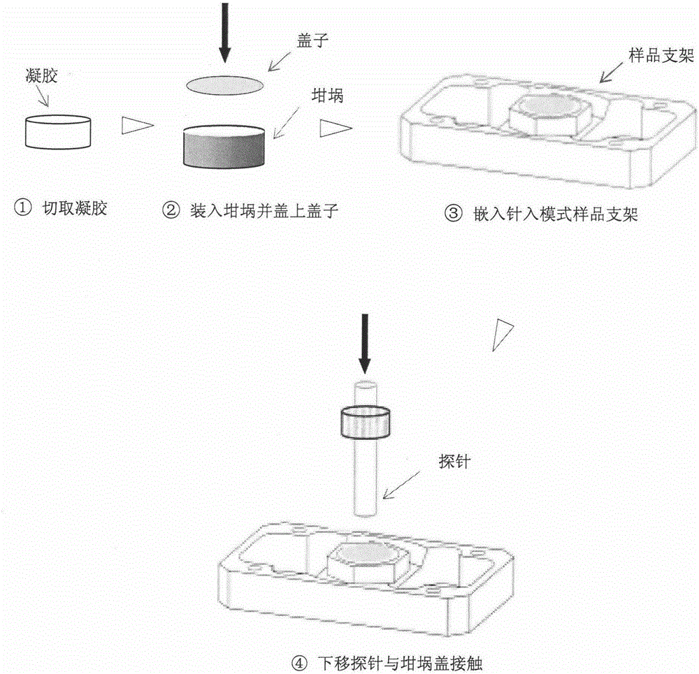 Dynamic thermal mechanical analysis method for measuring phase transition temperature of temperature-sensitive hydrogel