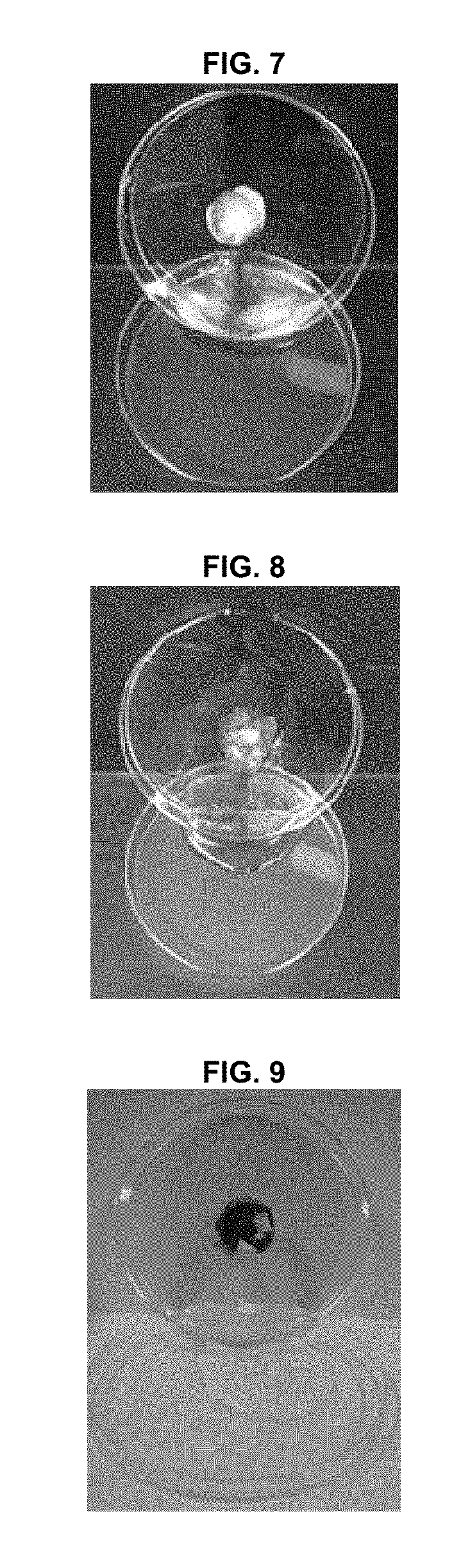 Pharmaceutical composition for protecting wounds, providing hemostasis, or preventing adhesion in the gastrointestinal tract