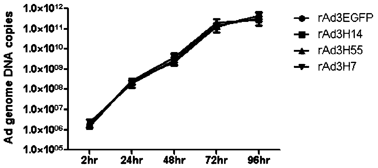 Recombinant adenovirus, and quadrivalent adenovirus vaccine and preparation method thereof