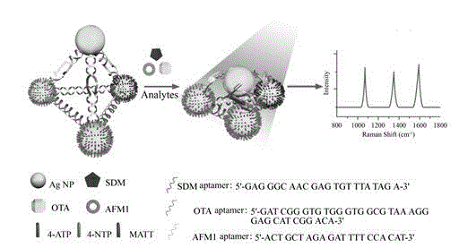 Raman multiple detection method based on silver nanoparticles tetrahedron