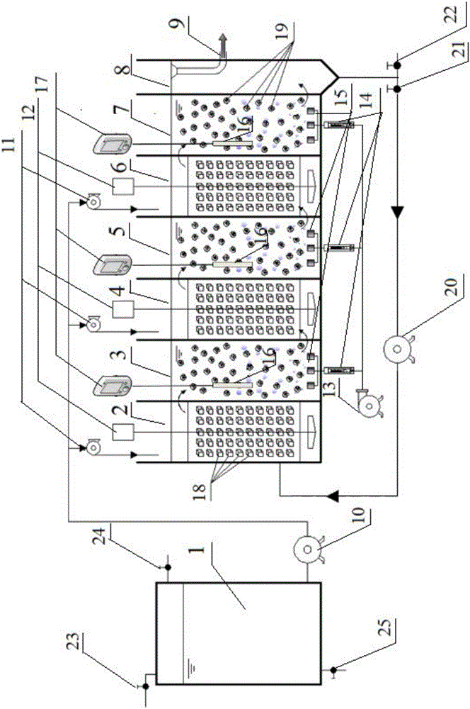 Autotrophic nitrogen removal device adopting low-carbon-source urban sewage step-feed multi-stage A/O (Anoxic-Oxic) process based on short-cut denitrification and application method