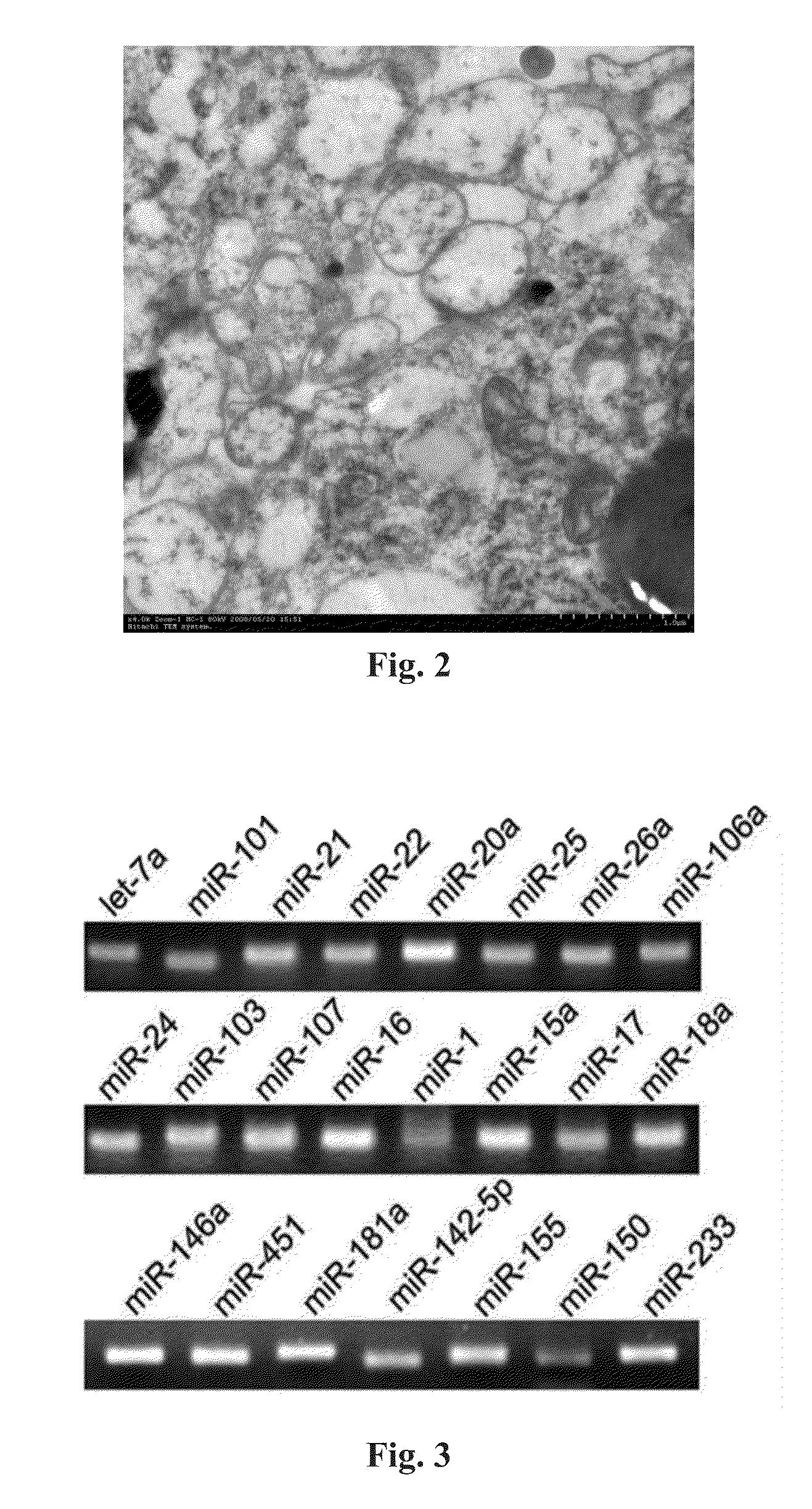 Method for Modulating MicroRNA Content in Living Beings and the Use Thereof