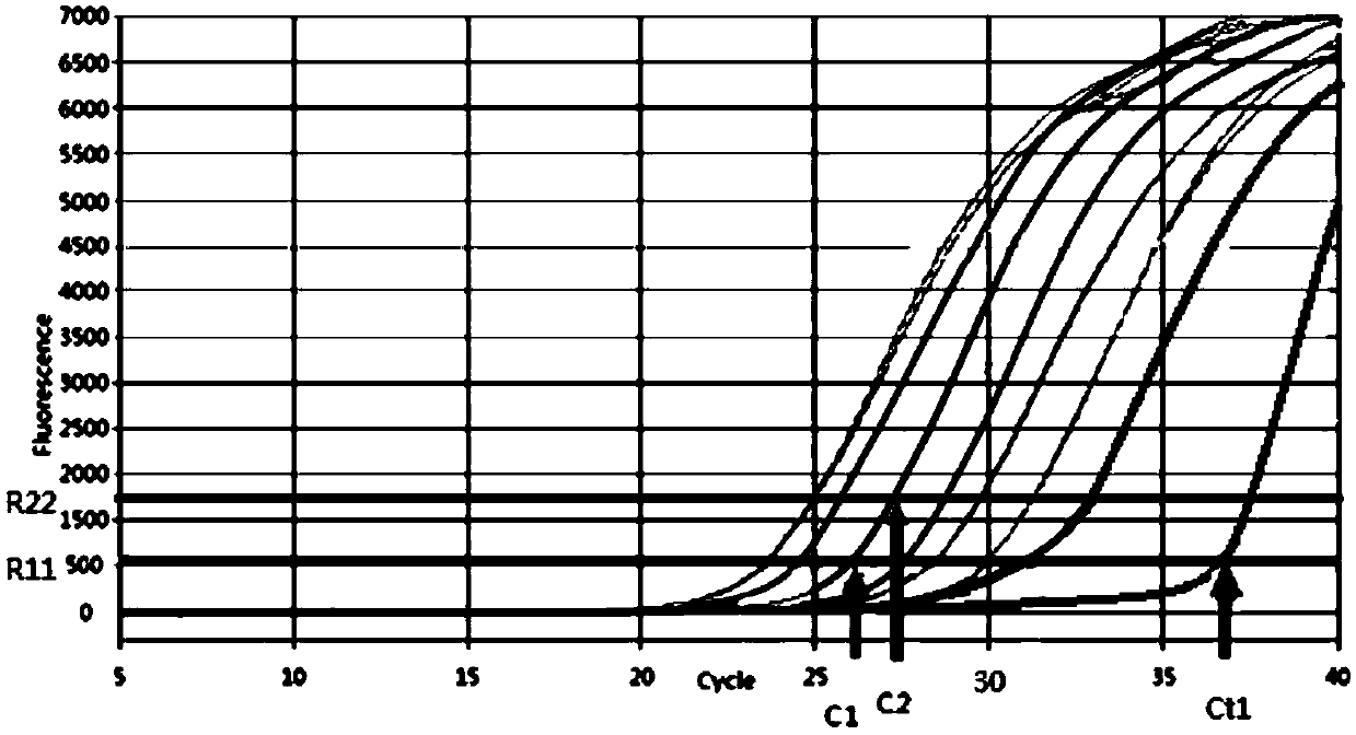 Digital PCR concentration calculation method