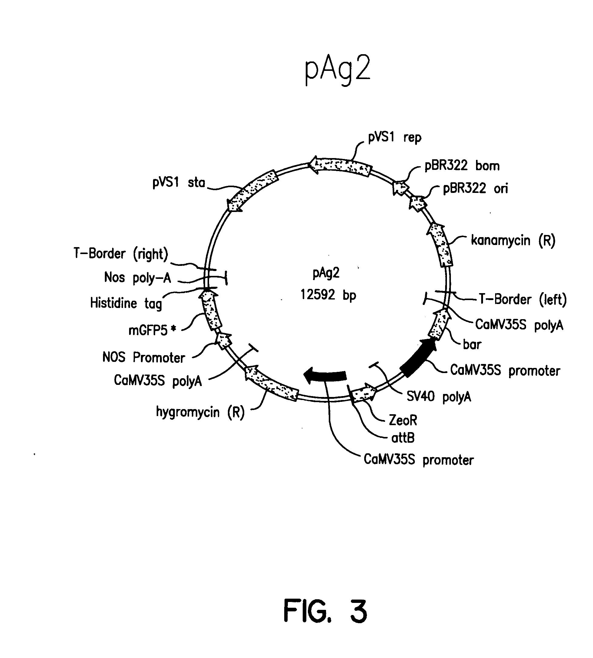 Plant artificial chromosomes, uses thereof and methods of preparing plant artificial chromosomes
