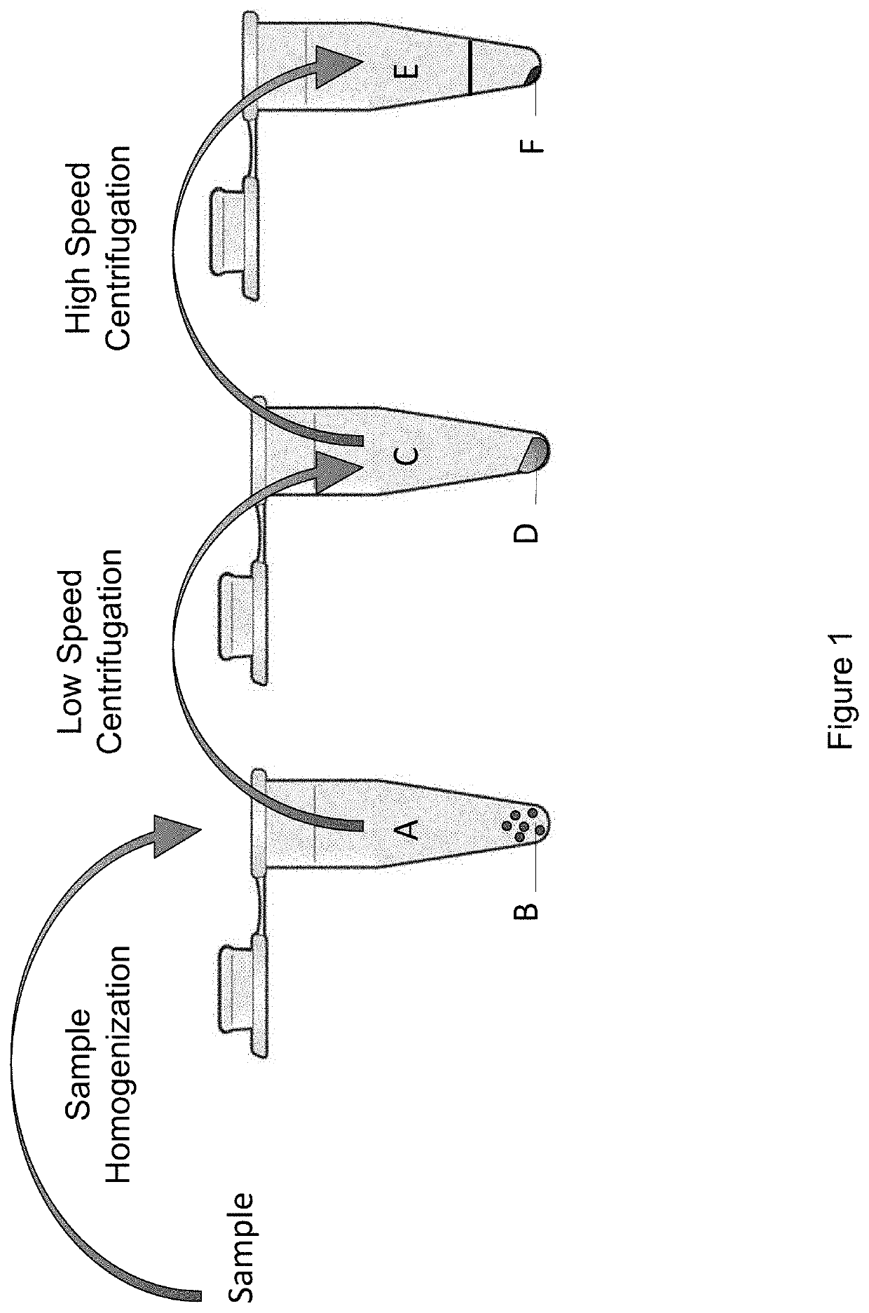 Methods and systems for isolating and identifying nucleic acid from a plurality of microorganisms and viruses