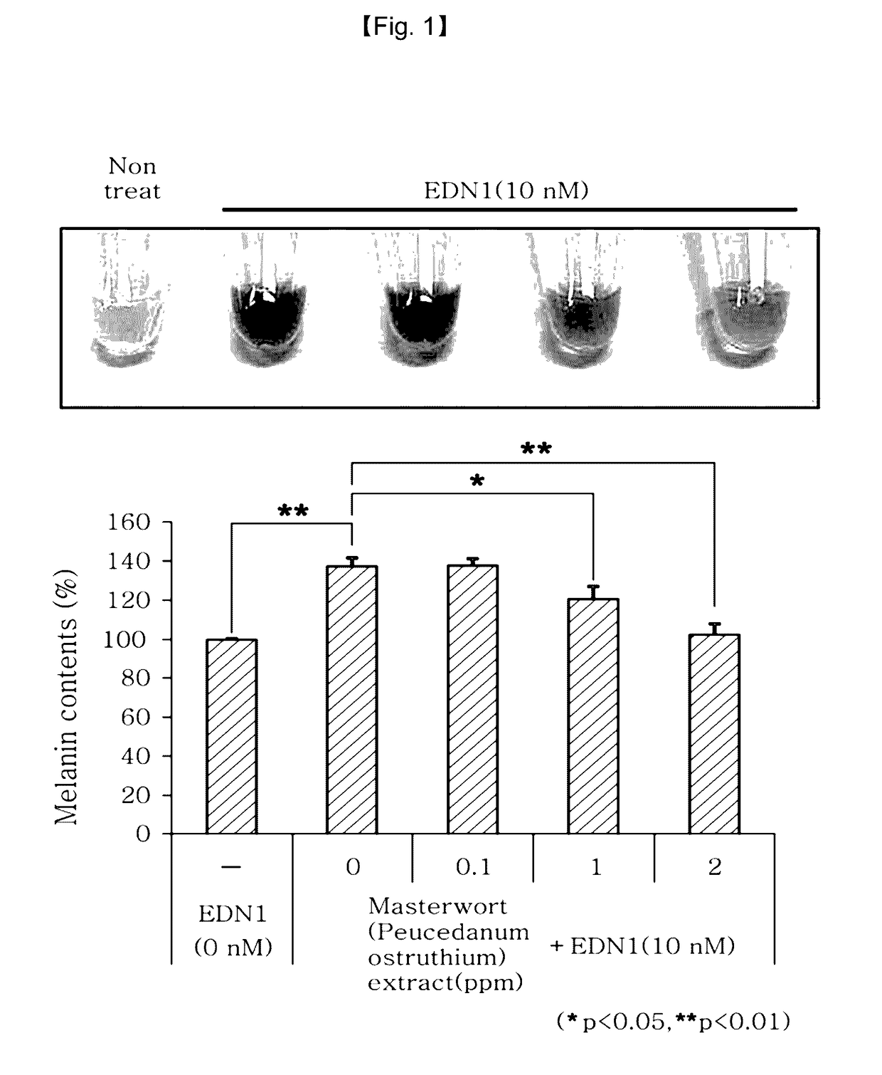 Whitening composition comprising umbel extract