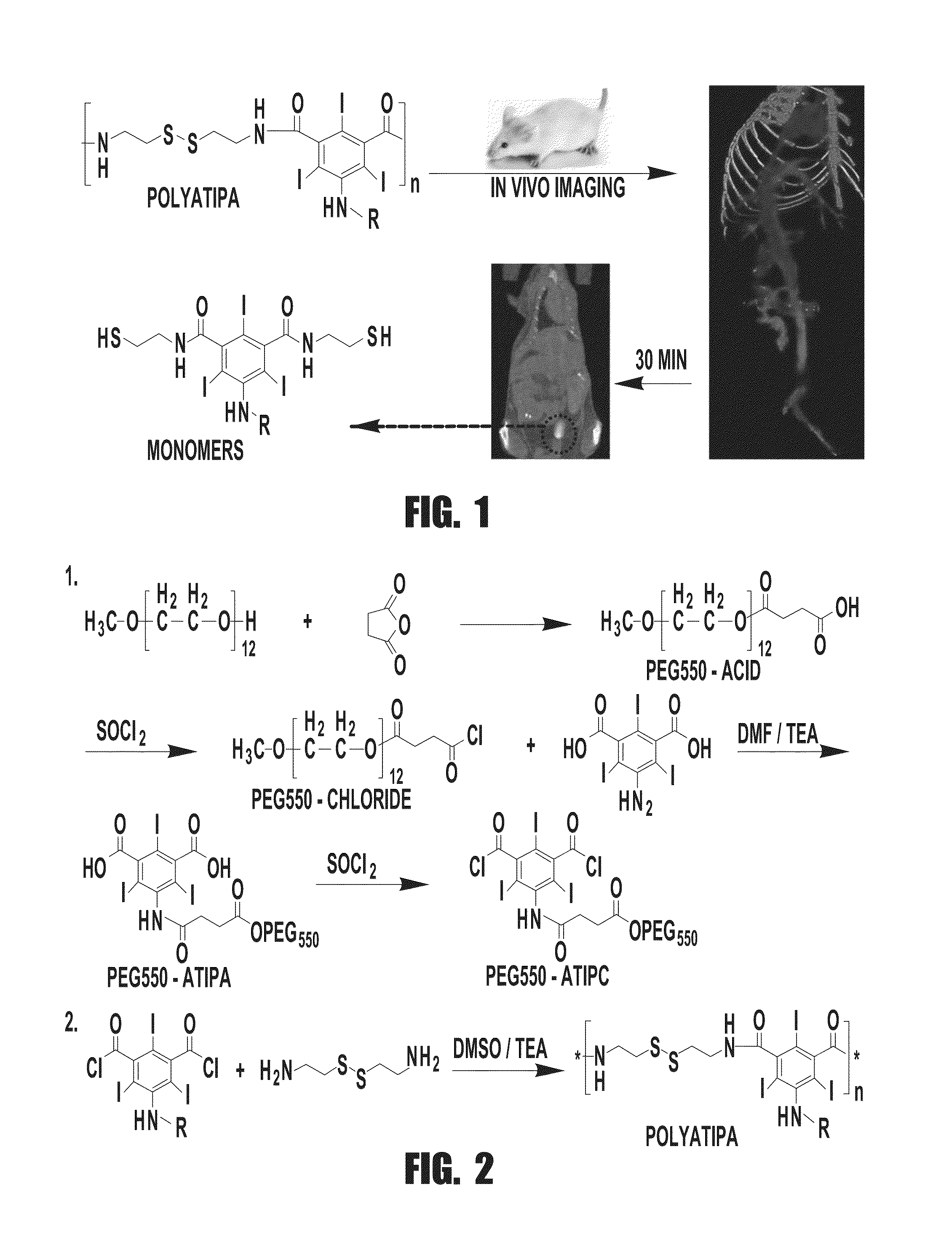 Biodegradable computed tomography contrast agents