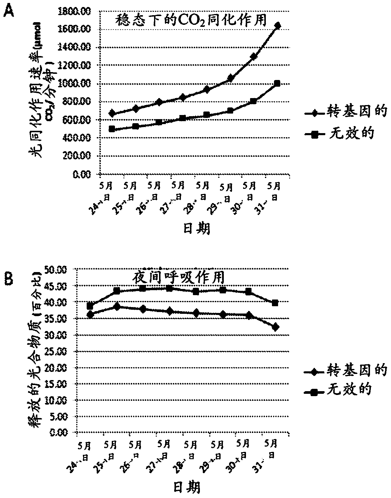 Polynucleotides, polypeptides and methods for enhancing photossimilation in plants