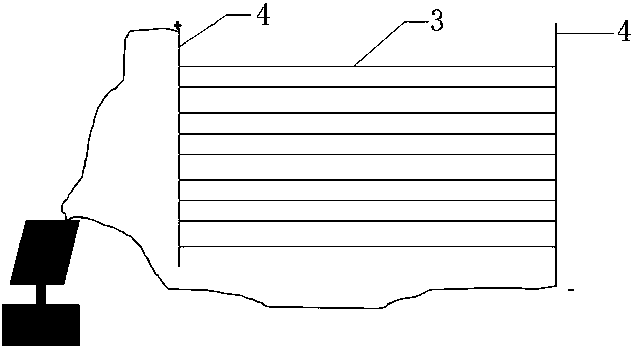 Bionic ecological grass for purifying water body, and water body purification method