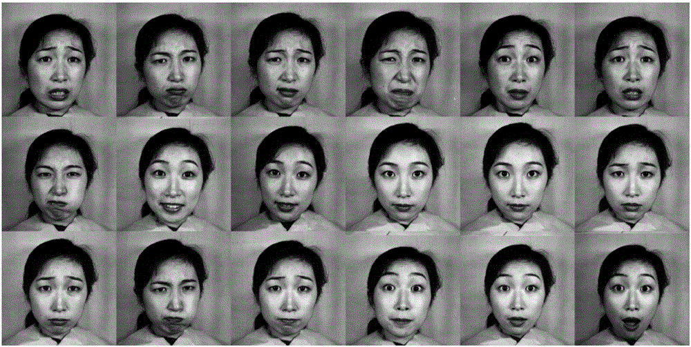 Bi-visual-angle face identification method based on multi-local correlation characteristic learning