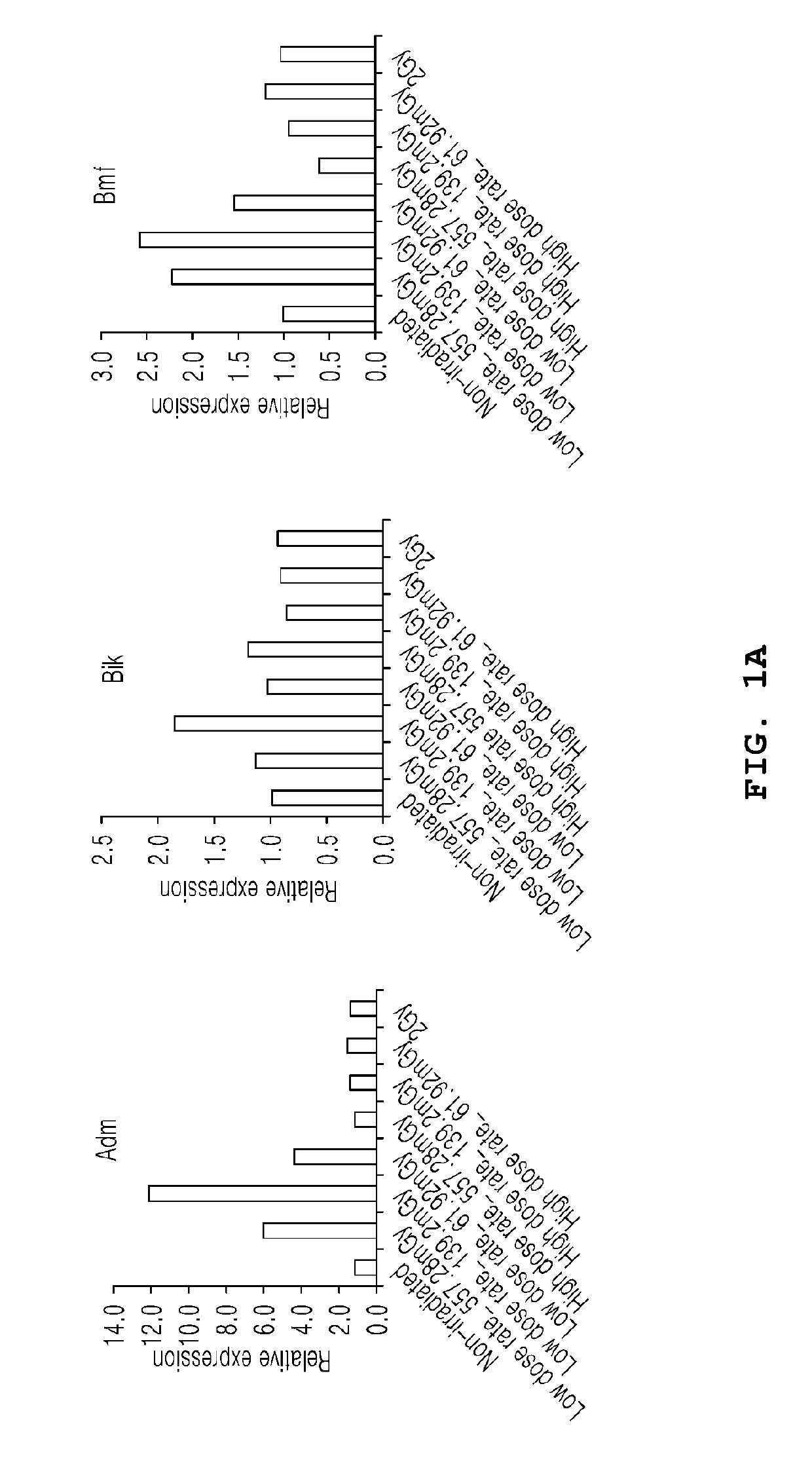 Apoptosis regulatory gene detected in irradiated-thymic lymphoma cell and method for detecting same