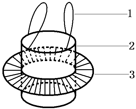 Carrying device based on temporary supporting structure