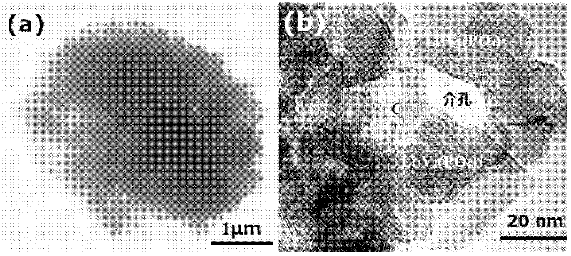 Biomimetic synthesis method of lithium vanadium phosphate/carbon nanometer composite mesoporous microspheres as positive electrode material of lithium ion battery