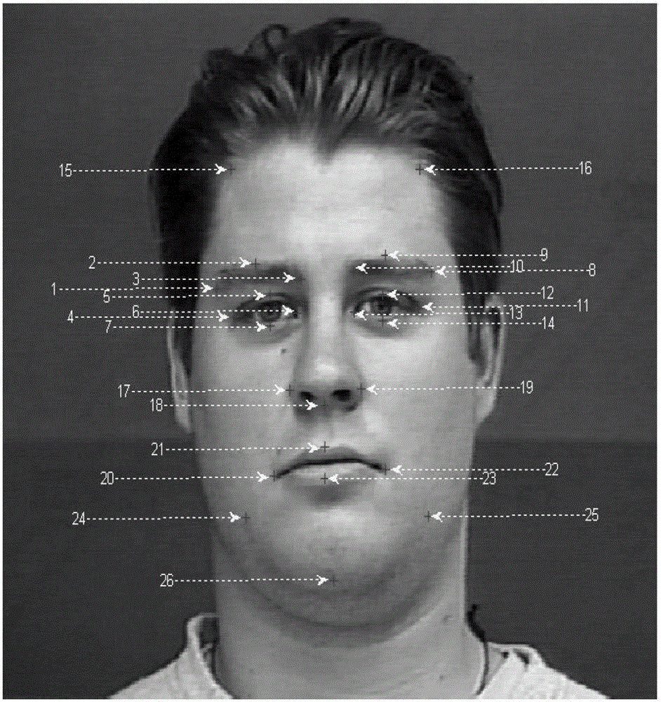 Facial Expression Recognition Method Based on Feature Point Vector and Texture Deformation Energy Parameters