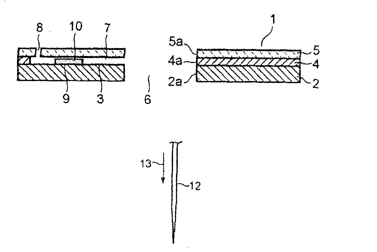 Blood sensor and blood examining instrument including same