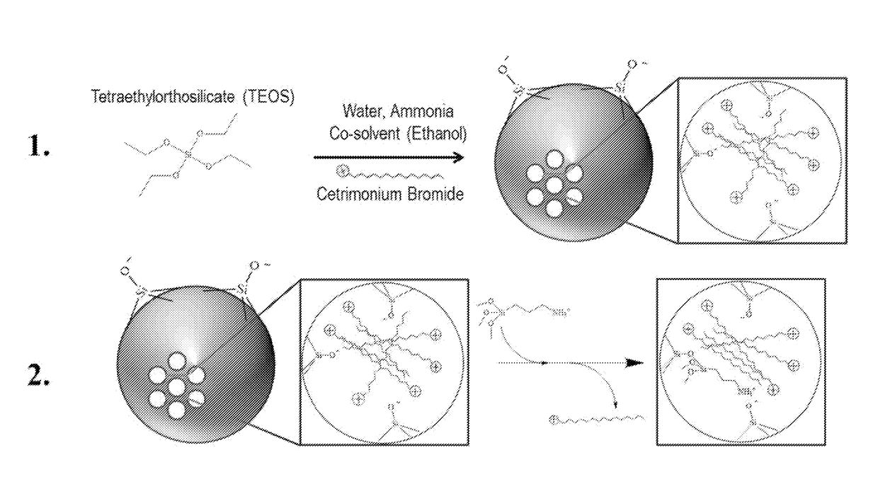 Functionalized Mesoporous Silica via an Aminosilane Surfactant Ion Exchange Reaction: Controlled Scaffold Design and Nitric Oxide Release