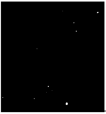 Preparation method of bundled hollow fiber membrane