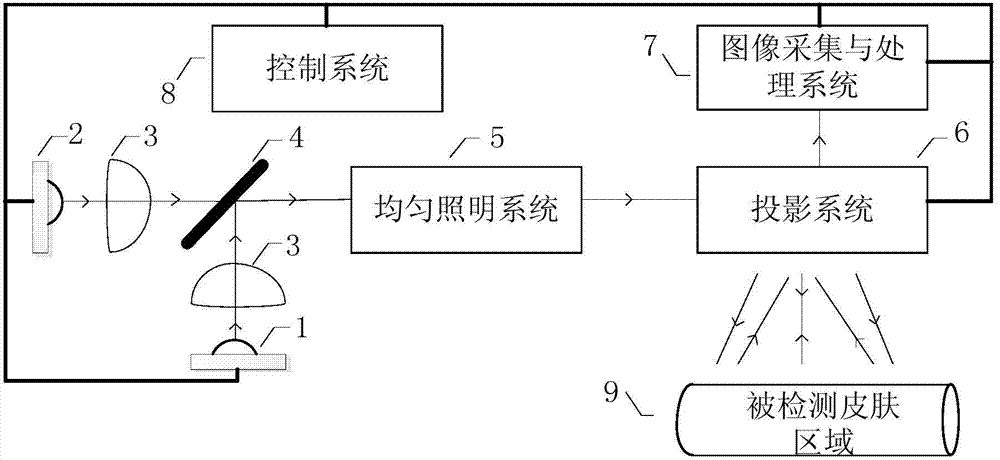 Real-time vein positioning and displaying device and method