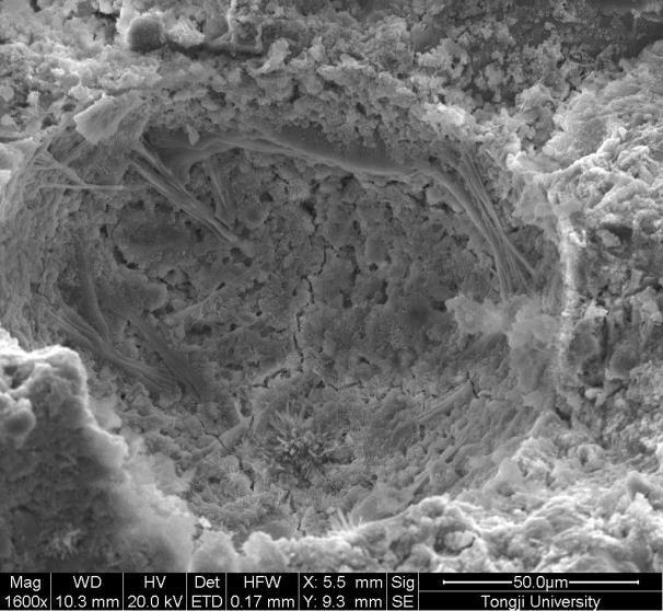 Quick repair material for anti-freezing and anti-salt-freezing airport cement pavement and preparation method of quick repair material