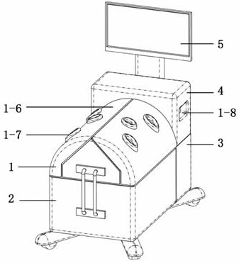 An isolated heart-lung combined perfusion system and perfusion method