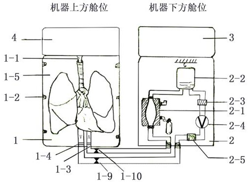 An isolated heart-lung combined perfusion system and perfusion method