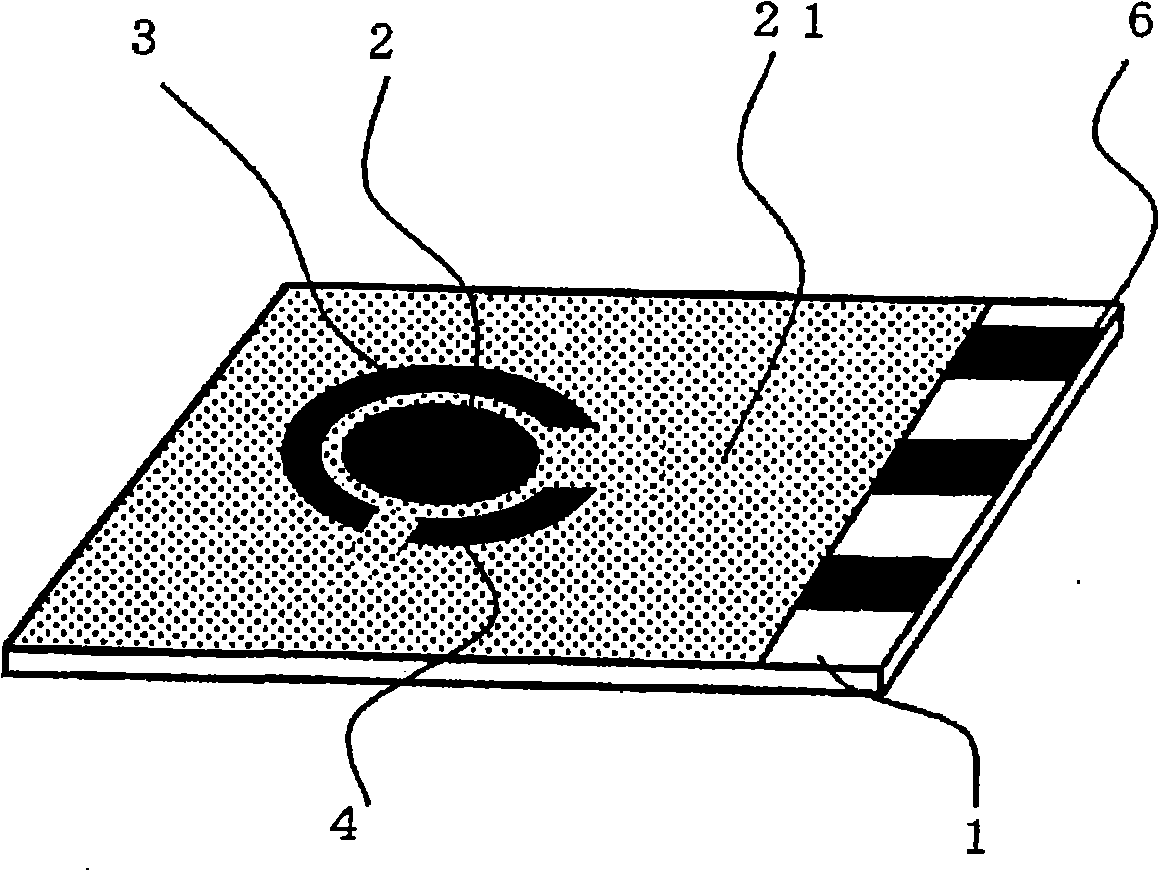 Pyrophosphoric acid sensor and snp typing sensor utilizing the same