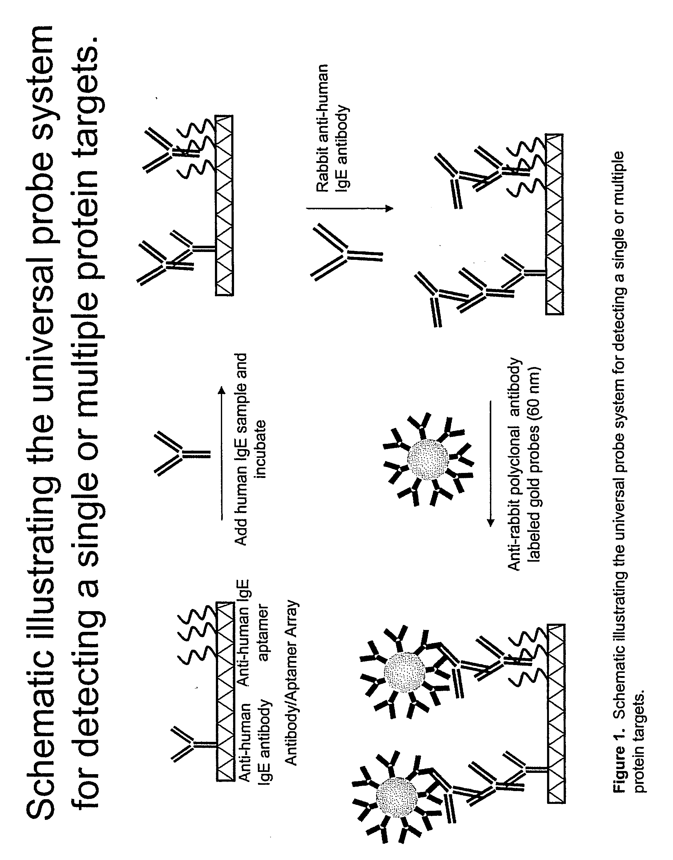 Methods for preparing hybrid substrates comprising DNA and antibodies and uses thereof