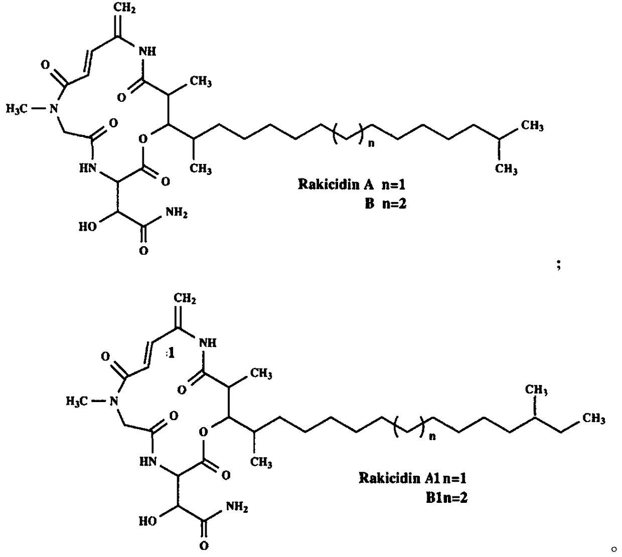 Marine micromonospora strain for fermenting to produce Rakicidin A and application thereof