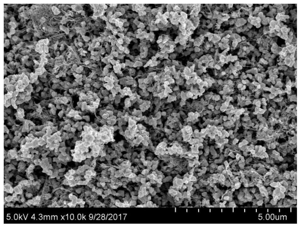 A kind of preparation method of tin sulfide composite negative electrode material