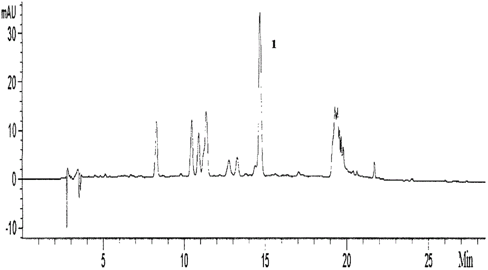 Compound Cynanchum chinense extract and preparation method thereof