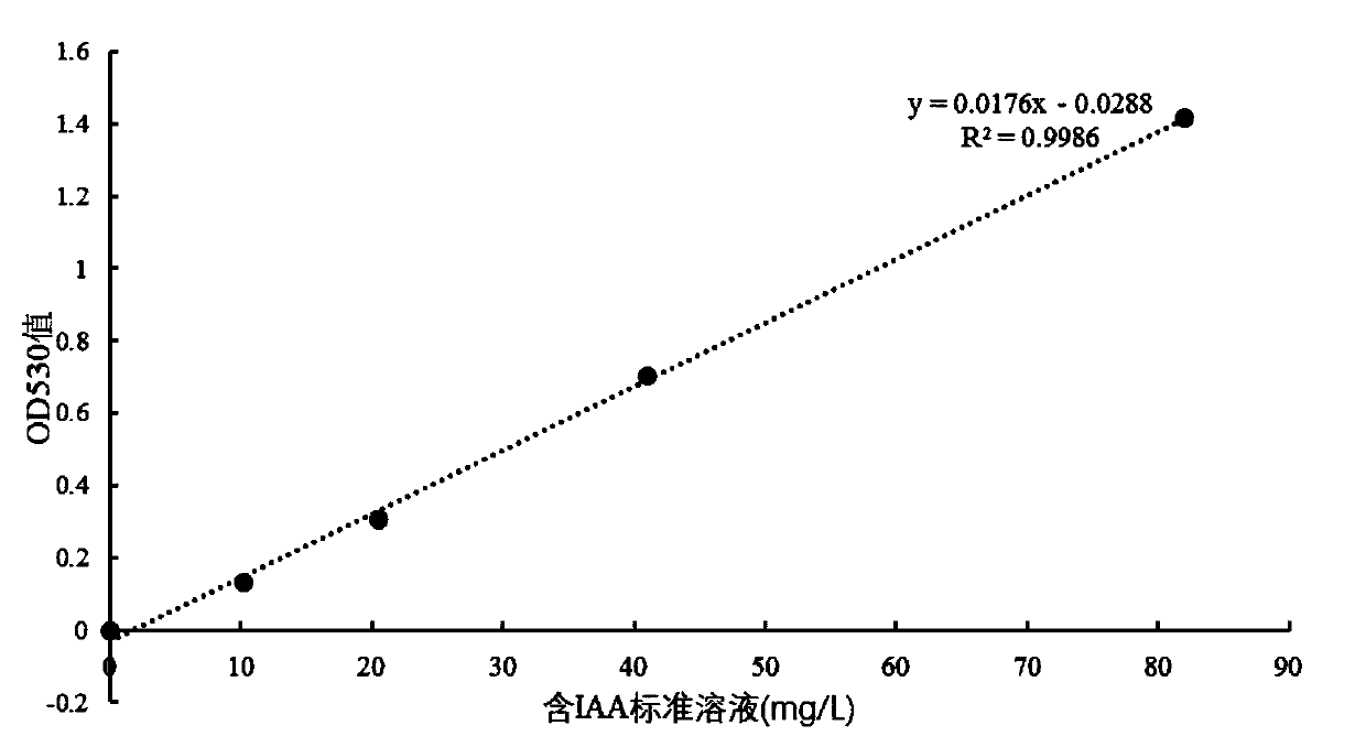 Bacillus alcalophilus strain wp-1 and application thereof