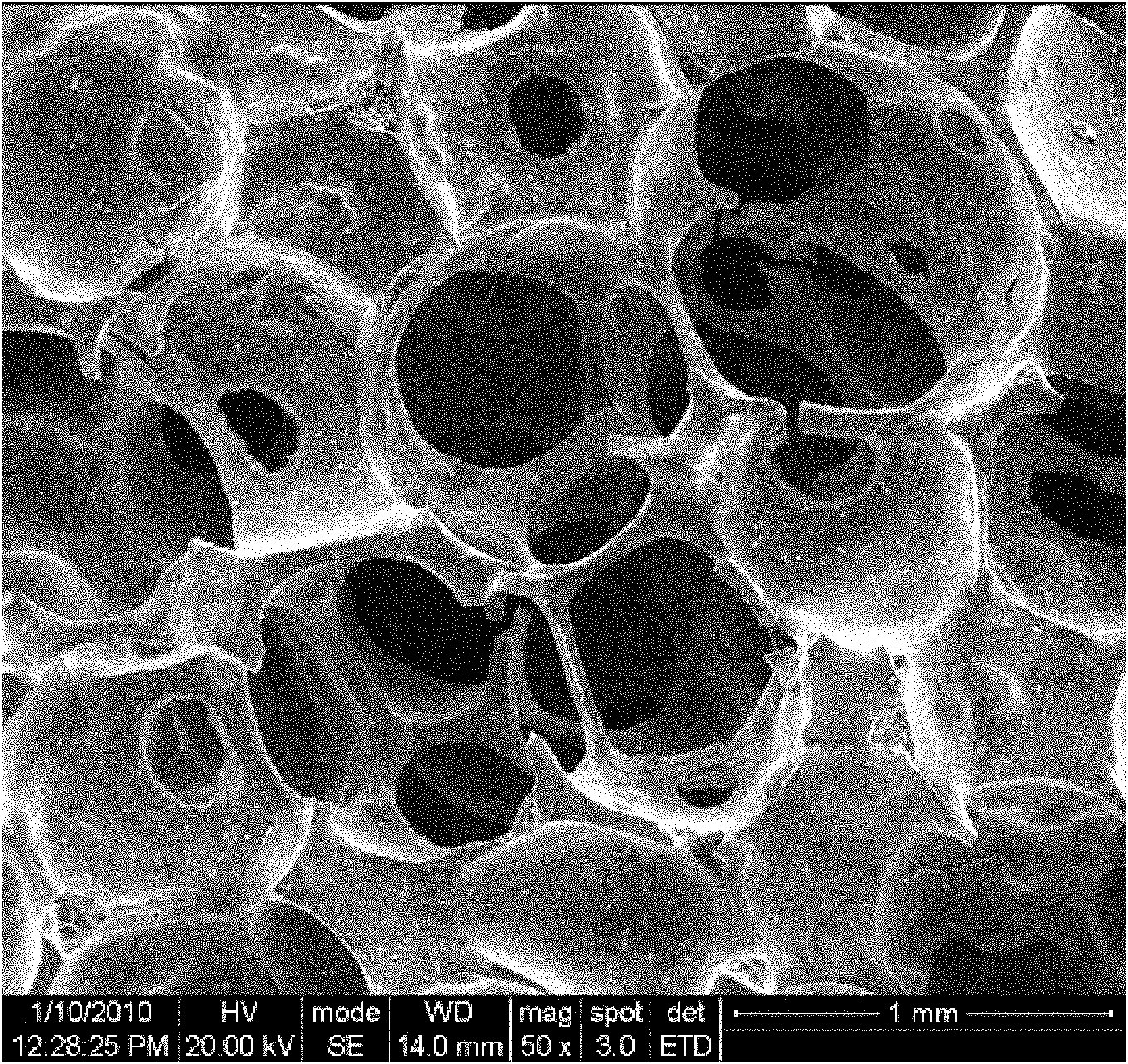 Carbon foam biological scaffold as well as preparation method and application thereof