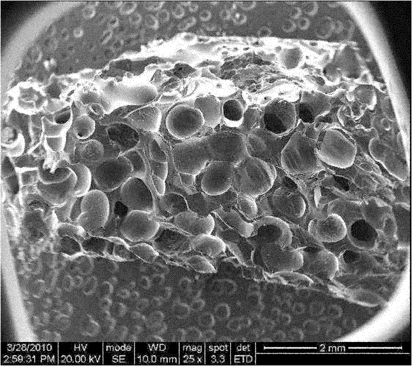 Carbon foam biological scaffold as well as preparation method and application thereof