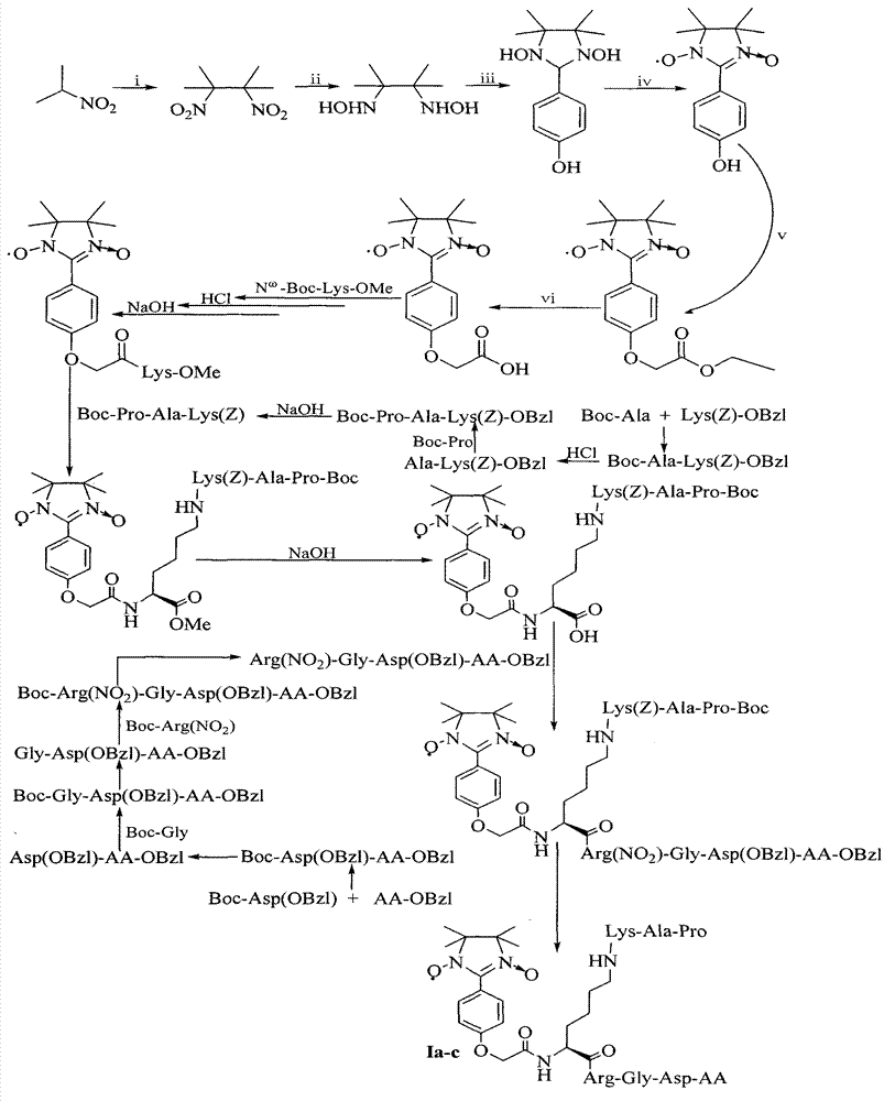 PAK (polyester alkyd)/ imidazoline/RGD (arginine-glycine-aspartic acid) ternary conjugate and preparation method and use thereof