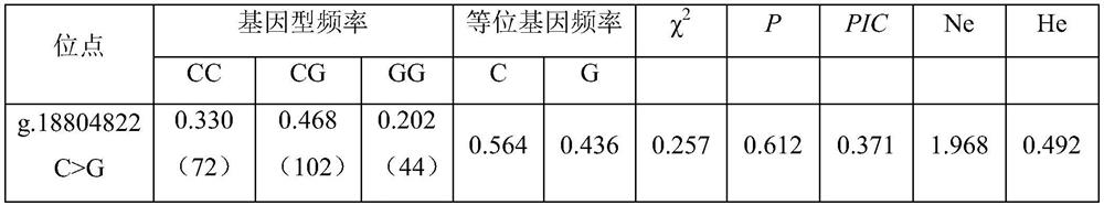 A SNP Molecular Marker Affecting Birth Weight of Alpine Merino Sheep and Its Application