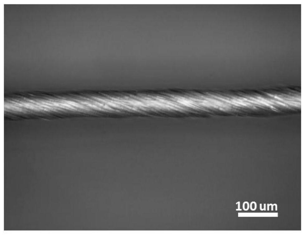 Highly conductive flexible graphene tube and preparation method thereof