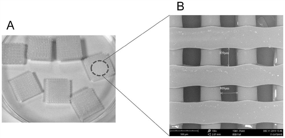 Bio-energy active material and application thereof