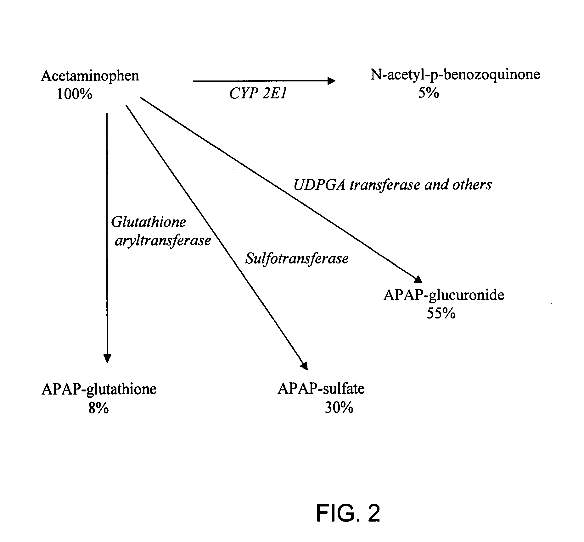 Directed metabolism of compounds by glucuronidation and sulfonation donors to decrease toxicity