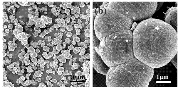 Preparation method of rutile type boron-doped titania (B-TiO2) microsphere with exposed high energy crystal face {001}