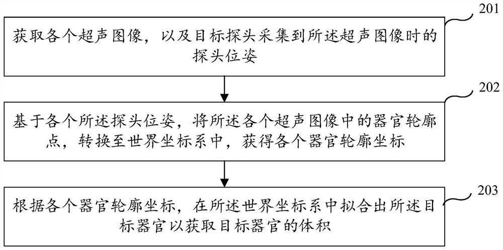 Organ volume determination method and device, equipment and storage medium