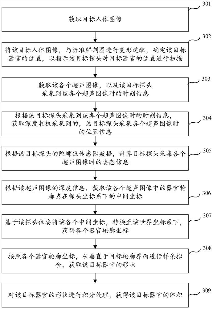 Organ volume determination method and device, equipment and storage medium