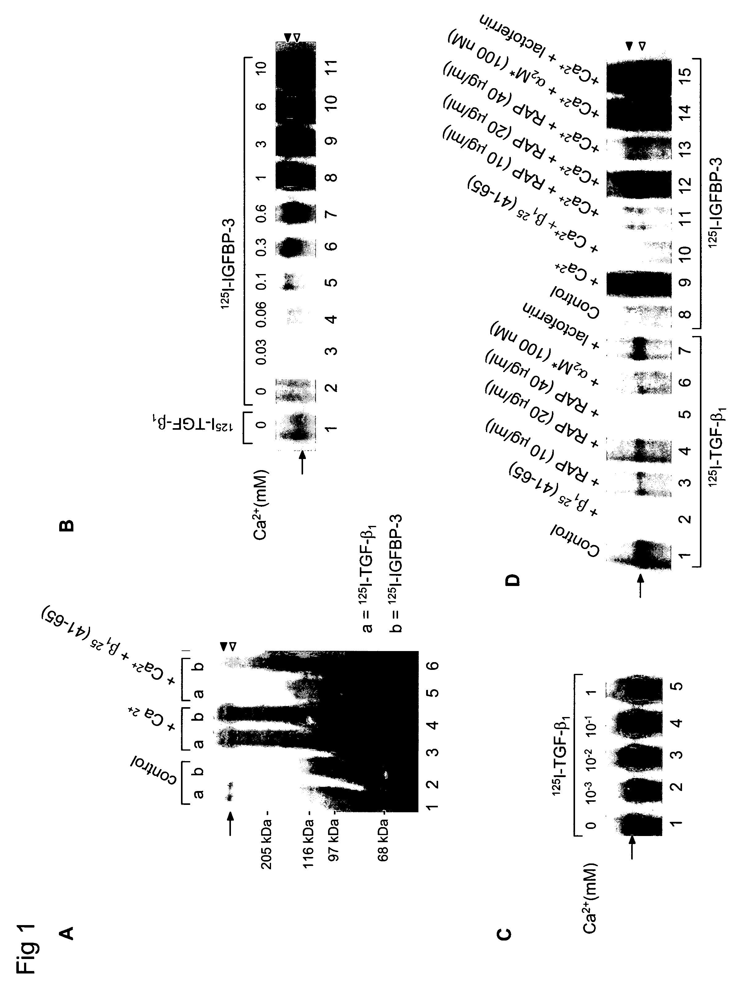 Compositions and methods for inhibiting cell proliferation