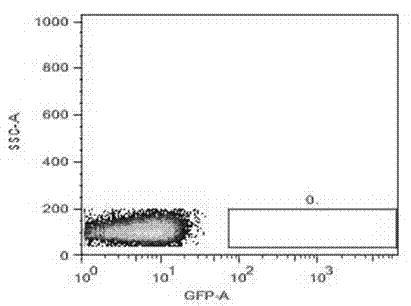 Mouse-tail DNA (deoxyribose nucleic acid) extraction kit applicable to the genotype of laboratory mouse and application thereof