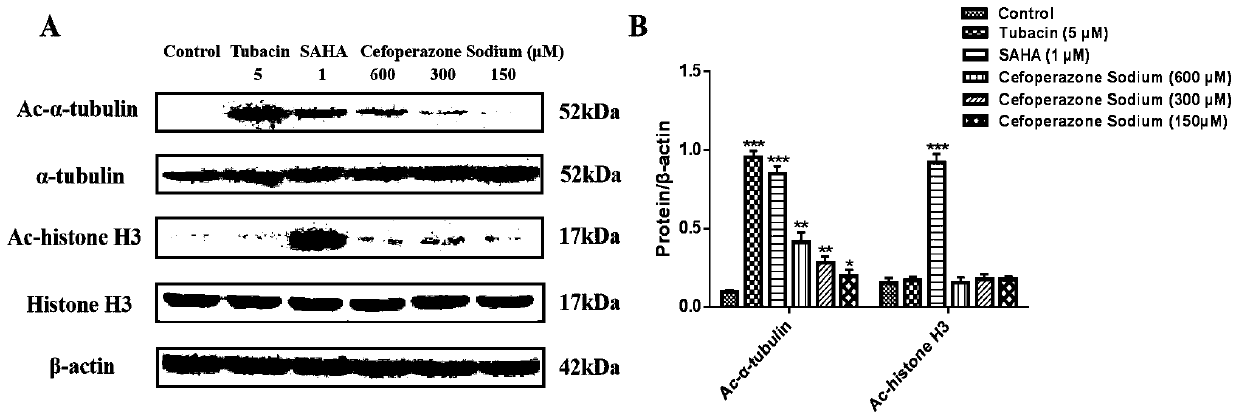 Application of beta-lactam compounds